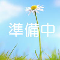 実績