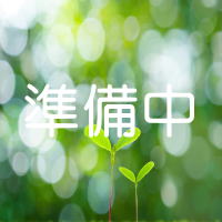 実績